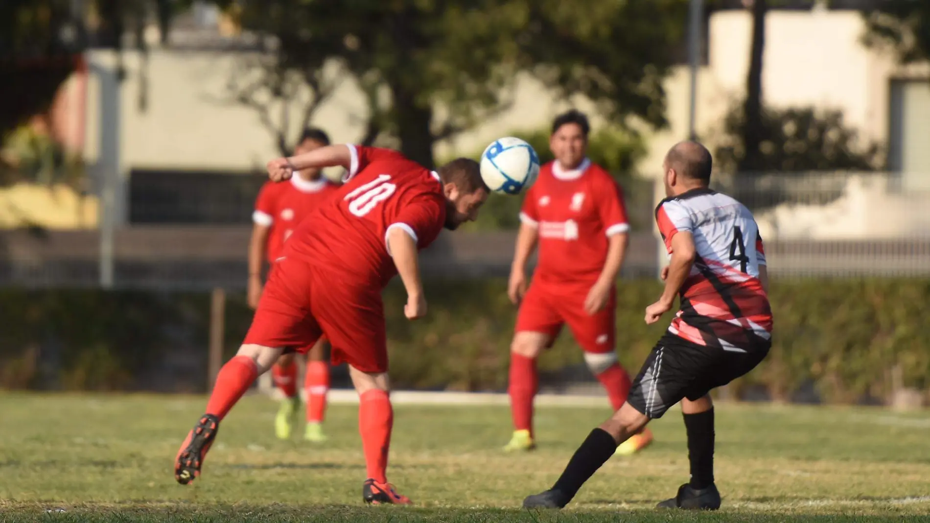 191219-TORNEO DEL PAVO-YL (4)